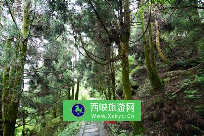 九峰山自然保护区