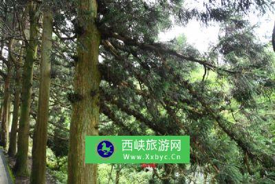 化安山自然历史文化保护区
