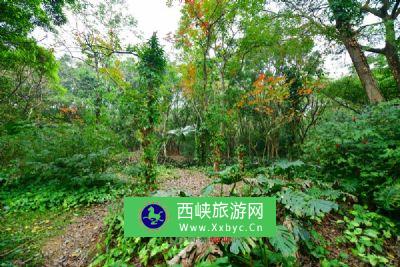 北京霞云岭森林公园白草畔自然风景区