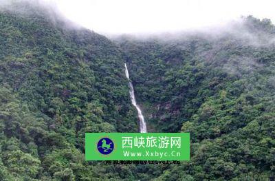 上岳金花茶自然保护区