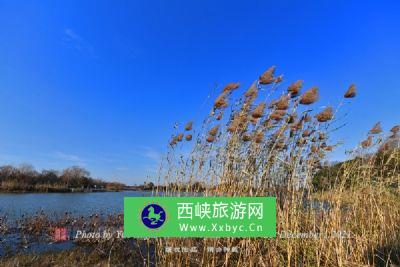 万鹤山滨海湿地公园