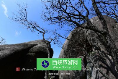 八仙山自然保护区