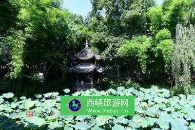 重庆綦江国家地质公园