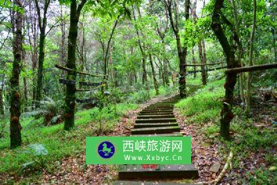 息州森林公园