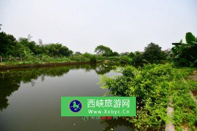 德兴洎水河省级湿地公园