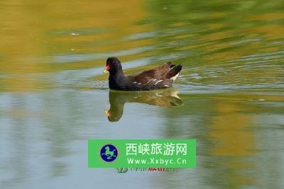 丰城玉龙河省级湿地公园
