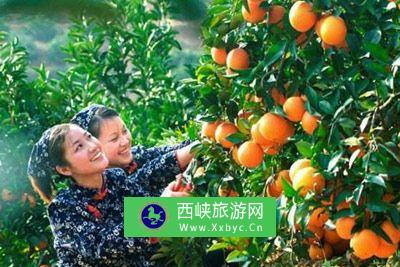 中国赣南脐橙产业园
