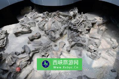 青龙山恐龙蛋化石群旅游区