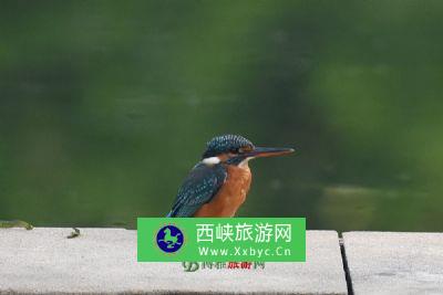 五里江自然保护区