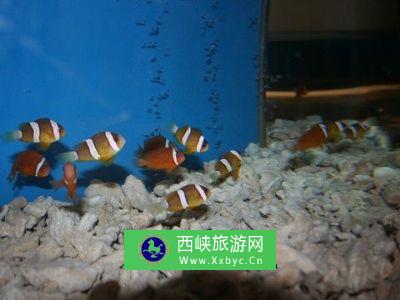 北京市水生野生动物救治中心