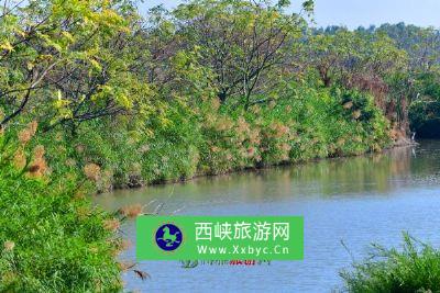 怀仁口泉河国家湿地公园