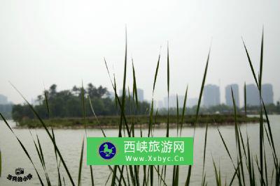 汉太液池遗址