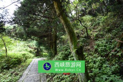 黎平五龙山自然保护区