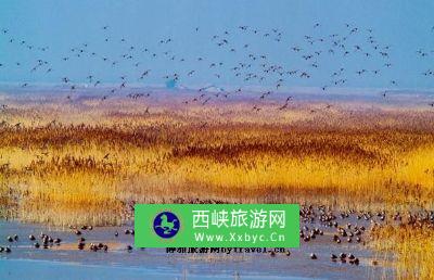 崇明东滩鸟类国家级自然保护区