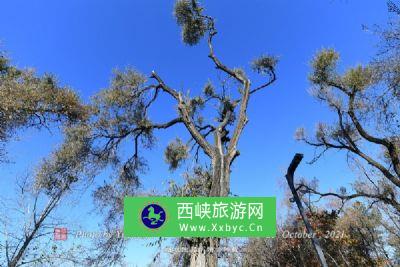 黑龙江省火山口国家森林公园