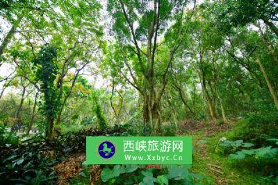 天津滨海龙达现代都市农业主题公园