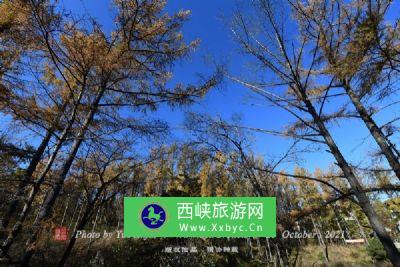 陇县关山森林公园