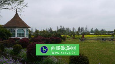 上海菲尼克斯生态园