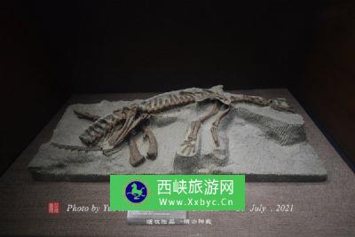 革东古生化石物自然保护区