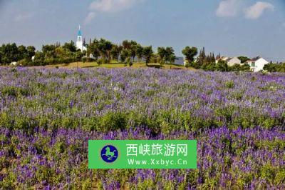 上海寻梦园香草农场