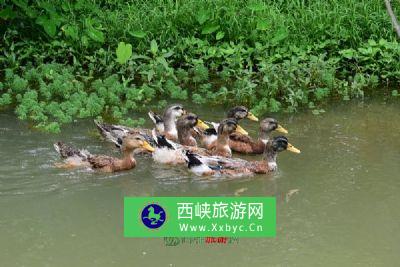 黑龙江宾县二龙湖国家湿地公园