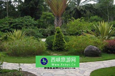 翠屏峰热带雨林公园