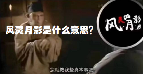 风灵月影是什么意思?风灵月影宗梗的出处