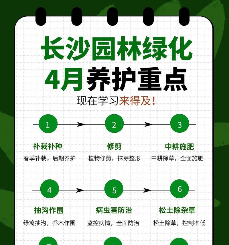 园林技能大赛攻略（培养园林技能，参与大赛，展现专业水平）(园林技术技能大赛)